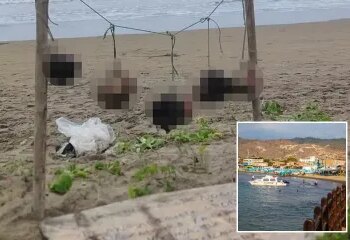 El expresidente de 71 años del club de fútbol francés es asesinado a tiros durante el funeral de su madre "posiblemente por un francotirador"