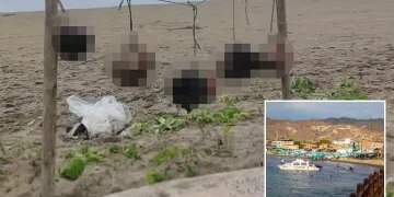 El expresidente de 71 años del club de fútbol francés es asesinado a tiros durante el funeral de su madre "posiblemente por un francotirador"