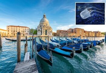 El influencer culturista de 26 años muere mientras duerme apenas unas semanas después de quejarse de que su "cabeza estaba hinchada como un panecillo al vapor"