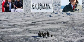 El jefe del ejército danés revela un plan para proteger Groenlandia en medio de la amenaza de Trump mientras las tropas de la OTAN se apresuran hacia la isla