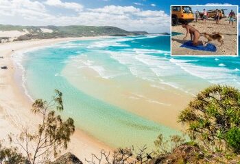 El misterio se profundiza sobre la muerte de un adolescente de 19 años, encontrado muerto rodeado por 12 dingos en una isla turística mientras su padre teme que no haya respuestas.