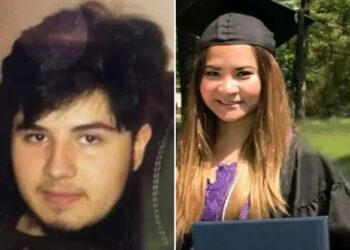 Un collage de imágenes que contiene 2 imágenes. La imagen 1 muestra NINTCHDBPICT001052370311, la imagen 2 muestra NINTCHDBPICT001052370490.