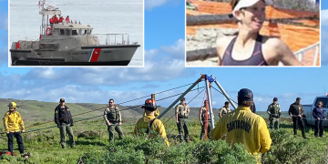 Fui mordido por un tiburón gigante que atrapé por accidente mientras pescaba con arpón