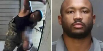 Un collage de imágenes que contiene 2 imágenes. La imagen 1 muestra NINTCHDBPICT001052466483, la imagen 2 muestra NINTCHDBPICT001052466545.