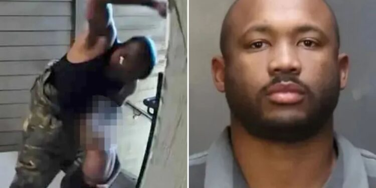 Un collage de imágenes que contiene 2 imágenes. La imagen 1 muestra NINTCHDBPICT001052466483, la imagen 2 muestra NINTCHDBPICT001052466545.