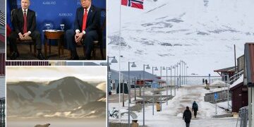 Influencers glamorosos que promocionaban sus habilidades comerciales 'utilizaron una pandilla de niños para robar inyecciones de grasa y productos de belleza' de las tiendas