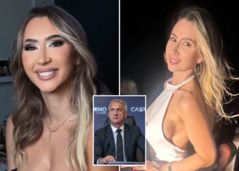 Un collage de imágenes que contiene 3 imágenes. La imagen 1 muestra NINTCHDBPICT001055018558, la imagen 2 muestra NINTCHDBPICT001055018556, la imagen 3 muestra NINTCHDBPICT001055018554.