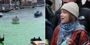 Las medusas caníbales invaden un lugar de vacaciones mientras las criaturas de 'peine verrugoso' causan estragos en la laguna después de 'llegar en un barco'