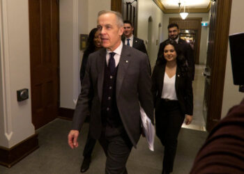 Leyendo el modelo de gobernanza de Carney