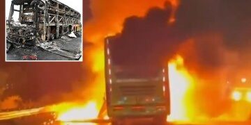 Momento de terror: un elefante ataca una furgoneta de turistas y obliga a una familia aterrorizada a huir después de que la bestia arrancara la puerta cuando le ofrecieron comida.