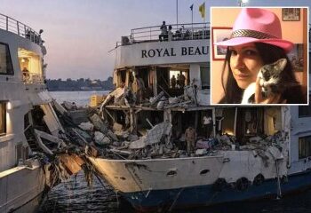 Momento dramático: la madre heroína salta del muelle para rescatar a su hija de 4 años, atrapada en el agua entre el crucero y el muelle