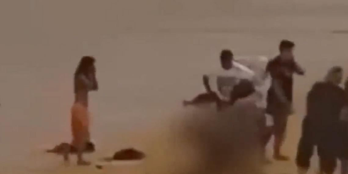 Momento dramático: un tiburón ataca a un nadador antes de que la víctima salga del agua en el tercer golpe frente a Sydney en cuestión de horas