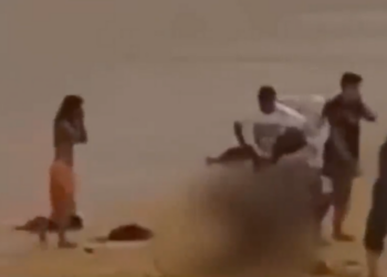 Momento dramático: un tiburón ataca a un nadador antes de que la víctima salga del agua en el tercer golpe frente a Sydney en cuestión de horas