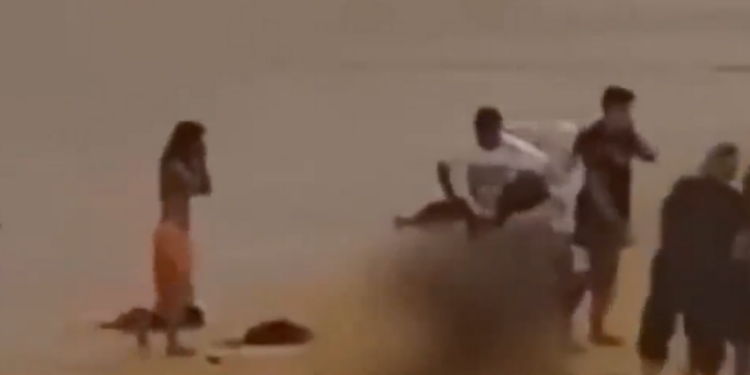 Momento dramático: un tiburón ataca a un nadador antes de que la víctima salga del agua en el tercer golpe frente a Sydney en cuestión de horas