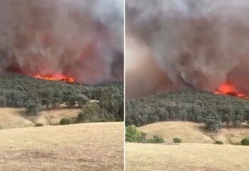 Momento en el que decenas de automóviles son arrastrados al mar mientras las terribles inundaciones repentinas azotan Australia