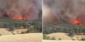 Momento en el que decenas de automóviles son arrastrados al mar mientras las terribles inundaciones repentinas azotan Australia