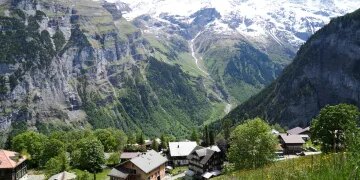 Momento extraño: un rebaño de ovejas asalta un supermercado y las ovejas causan estragos, derriban botellas de vidrio y hacen caca en los pasillos.