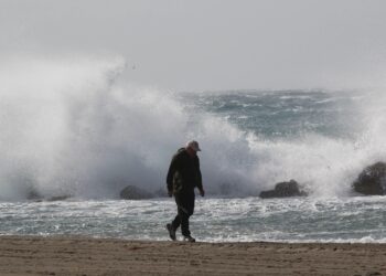 Mujer muere al caer una palmera en la Costa del Sol mientras los lugares turísticos españoles son azotados por vendavales de 50 mph y lluvias torrenciales