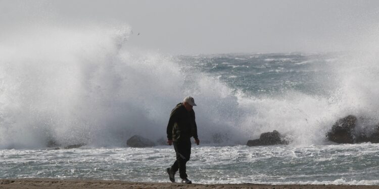 Mujer muere al caer una palmera en la Costa del Sol mientras los lugares turísticos españoles son azotados por vendavales de 50 mph y lluvias torrenciales