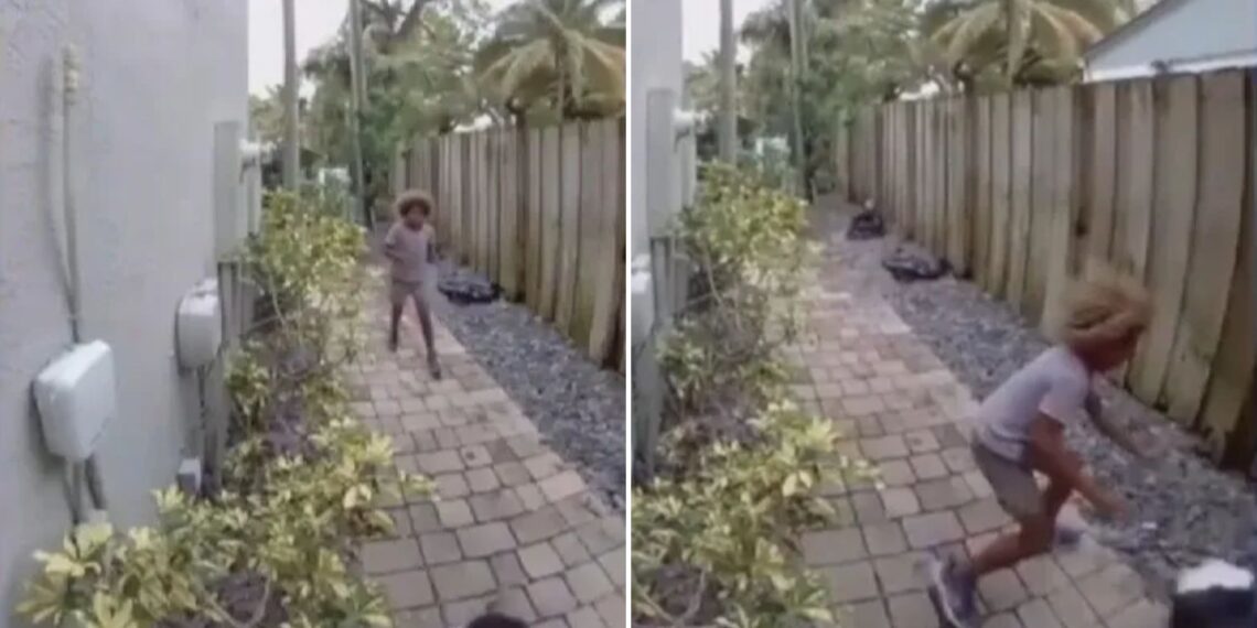 Un collage de imágenes que contiene 2 imágenes. La imagen 1 muestra NINTCHDBPICT001053491535, la imagen 2 muestra NINTCHDBPICT001053491546.