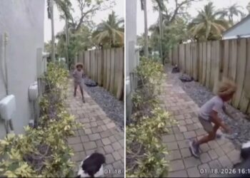 Un collage de imágenes que contiene 2 imágenes. La imagen 1 muestra NINTCHDBPICT001053491535, la imagen 2 muestra NINTCHDBPICT001053491546.