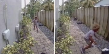 Un collage de imágenes que contiene 2 imágenes. La imagen 1 muestra NINTCHDBPICT001053491535, la imagen 2 muestra NINTCHDBPICT001053491546.