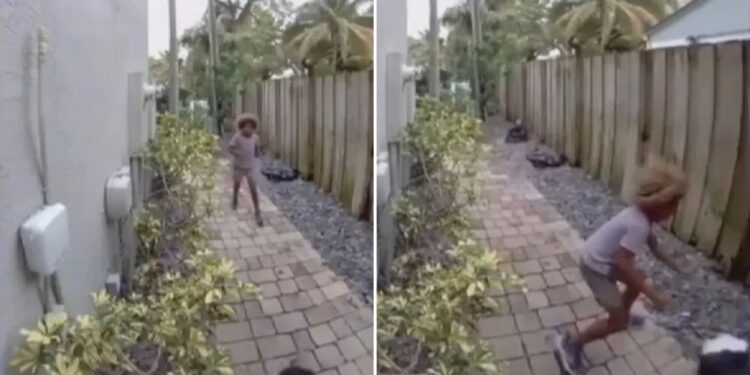 Un collage de imágenes que contiene 2 imágenes. La imagen 1 muestra NINTCHDBPICT001053491535, la imagen 2 muestra NINTCHDBPICT001053491546.