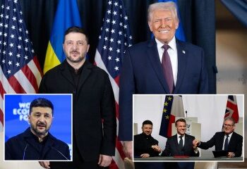 Ofrecer a los inmigrantes ilegales atención médica gratuita con cargo a los impuestos de los trabajadores es "repugnante", critica al ex gurú del número 10 Steve Hilton