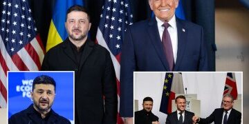 Ofrecer a los inmigrantes ilegales atención médica gratuita con cargo a los impuestos de los trabajadores es "repugnante", critica al ex gurú del número 10 Steve Hilton