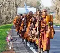 Pasos de compasión: el viaje épico de los monjes por un mundo fracturado | Noticias mundiales de la USNN