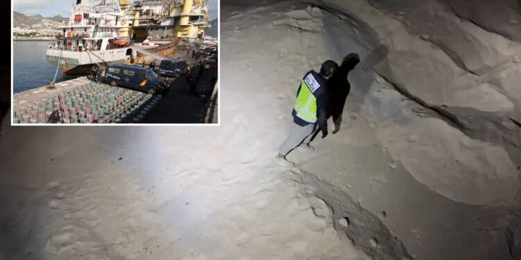 Un collage de imágenes que contiene 2 imágenes. La imagen 1 muestra que la policía española incauta un récord de 10 toneladas de cocaína escondidas en un cargamento de sal. La imagen 2 muestra que la policía española incauta el mayor botín marítimo de cocaína ja registrado.