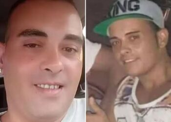 Un collage de imágenes que contiene 2 imágenes. La imagen 1 muestra NINTCHDBPICT001049605808, la imagen 2 muestra NINTCHDBPICT001049605806.