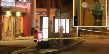 Un collage de imágenes que contiene 2 imágenes. La imagen 1 muestra NINTCHDBPICT001050123214, la imagen 2 muestra NINTCHDBPICT001050123184.