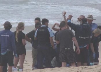 Tres ataques de tiburones sacuden Sydney en HORAS: un joven nadador es mordido, un niño de 12 años tiene las piernas mutiladas y la tabla de surf del niño mordida