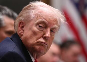 Trump admite que “no está en absoluto” reduciendo las redadas de ICE después de que los demócratas ceden ante el cierre del gobierno