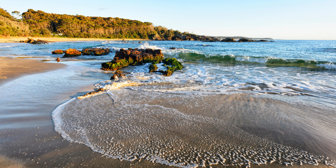 NINTCHDBPICT001054684536