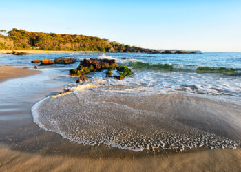 NINTCHDBPICT001054684536