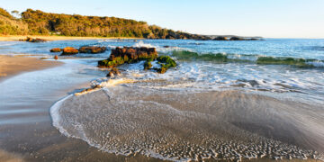 NINTCHDBPICT001054684536