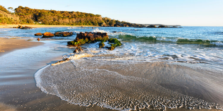 NINTCHDBPICT001054684536