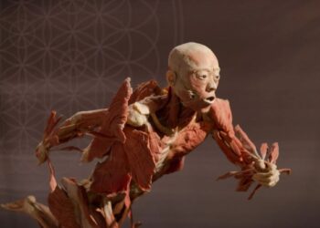 Un mundo deformado de 'corredores de cuerpos' que venden cadáveres 'donados' por dinero en efectivo y cuerpos de piel para exhibir... Pero las familias no tienen idea