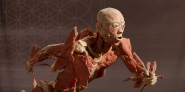 Un mundo deformado de 'corredores de cuerpos' que venden cadáveres 'donados' por dinero en efectivo y cuerpos de piel para exhibir... Pero las familias no tienen idea