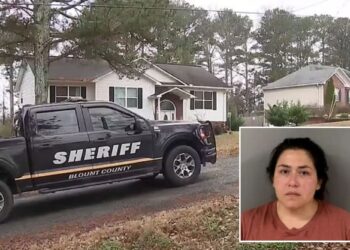 Un collage de imágenes que contiene 2 imágenes. La imagen 1 muestra NINTCHDBPICT001051248687, la imagen 2 muestra NINTCHDBPICT001051248019.