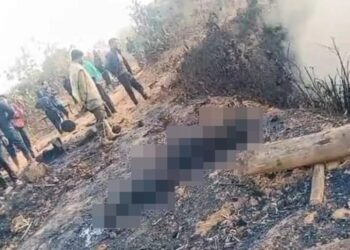 NINTCHDBPICT001056716658