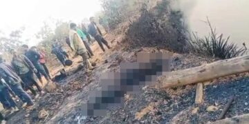 NINTCHDBPICT001056716658