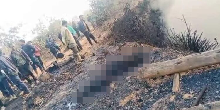 NINTCHDBPICT001056716658