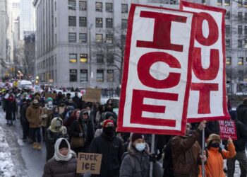 Encuesta: La mayoría de los estadounidenses se oponen a que se envíen agentes de inmigración a sus estados