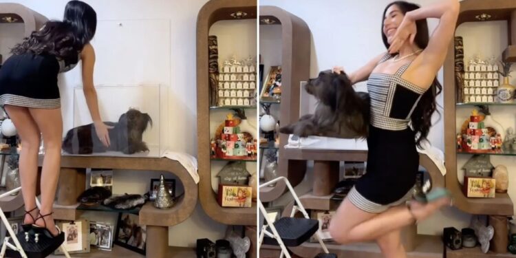 Un collage de imágenes que contiene 2 imágenes. La imagen 1 muestra al influencer