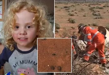 La policía identifica al sospechoso de la desaparición de Gus, de 4 años, quien desapareció en el interior cuando se emitió una actualización escalofriante