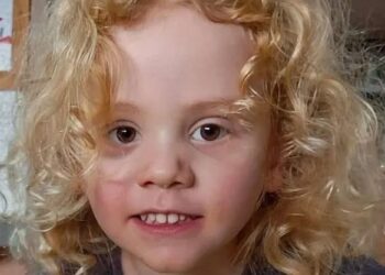 Los abuelos de Gus, de 4 años, desaparecido en el interior rompen el silencio mientras la policía identifica al sospechoso