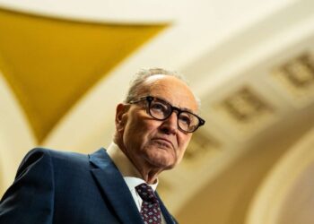 Mientras el DHS de Trump devasta a Estados Unidos, Schumer dice que su trabajo es “luchar por la ayuda a Israel”